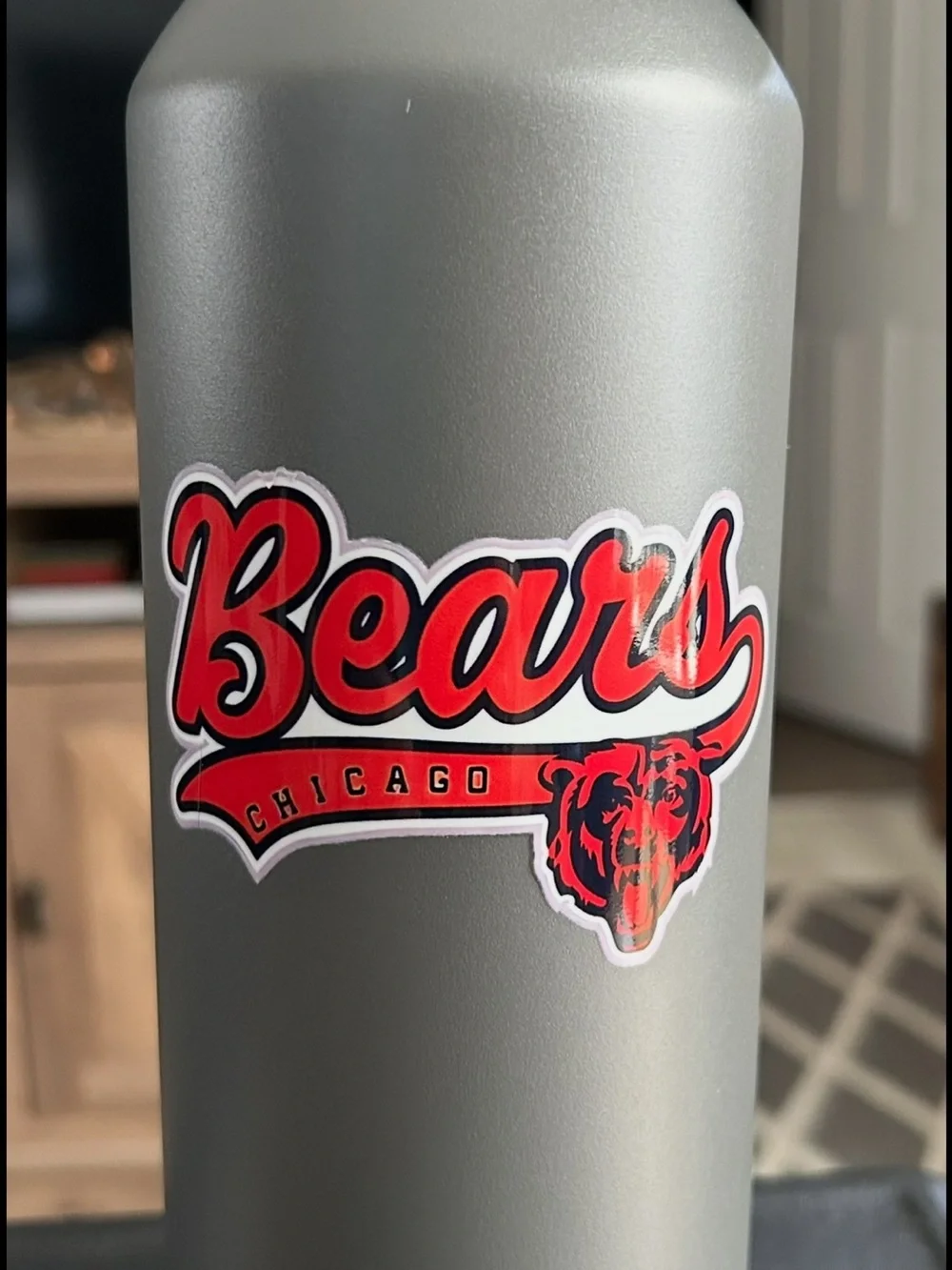 Stainless Steel Silver Water Bottle - BEARS Logo